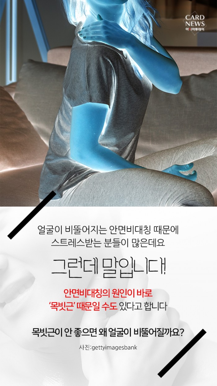 카드 뉴스 이미지
