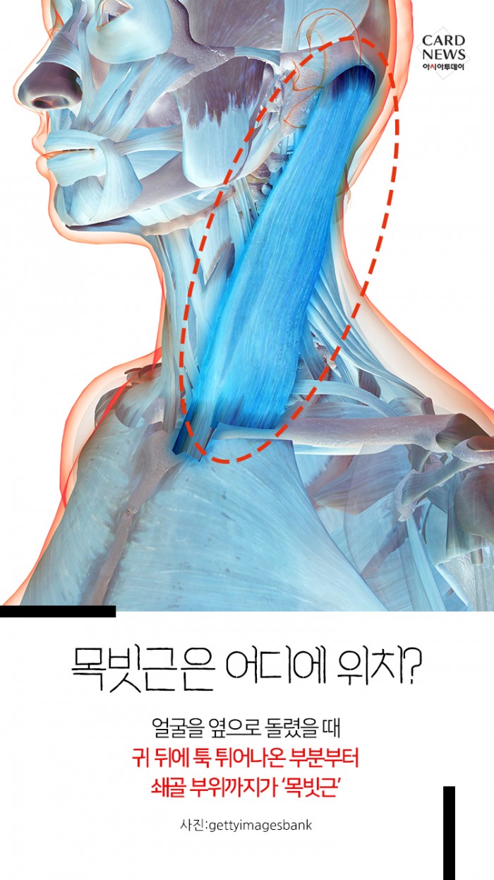 카드 뉴스 이미지