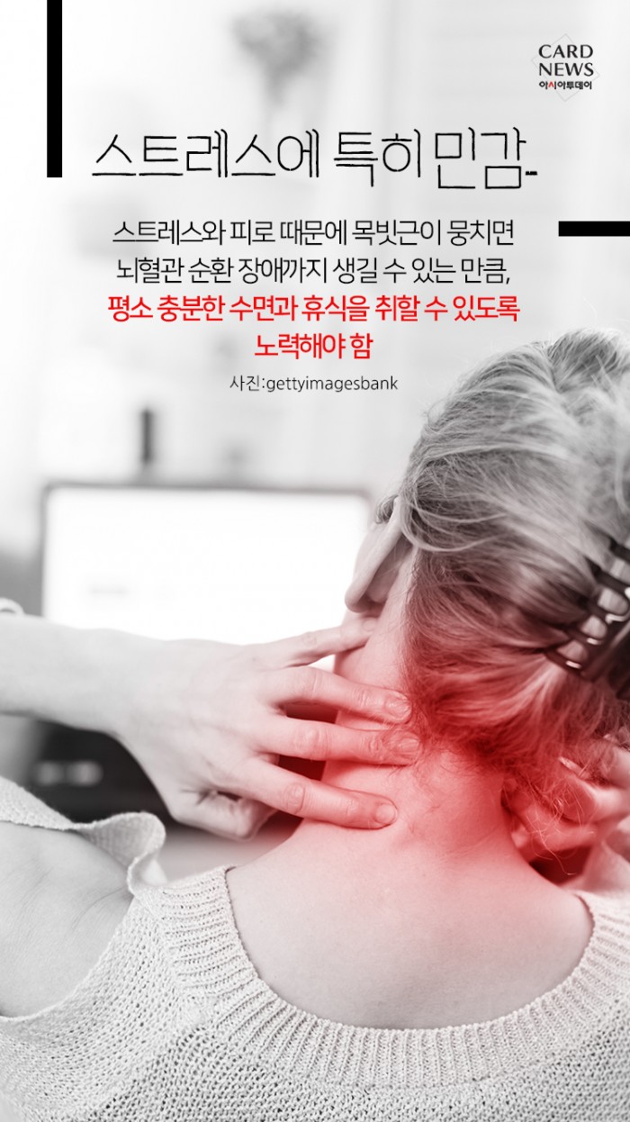 카드 뉴스 이미지