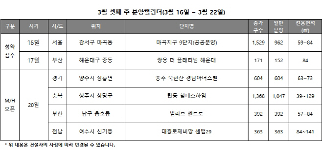 3월3주