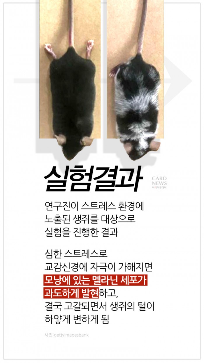 카드 뉴스 이미지