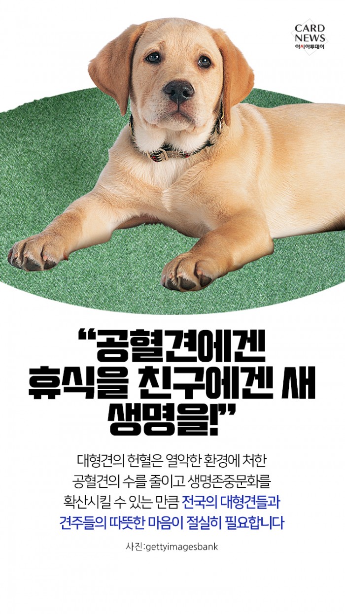 카드 뉴스 이미지