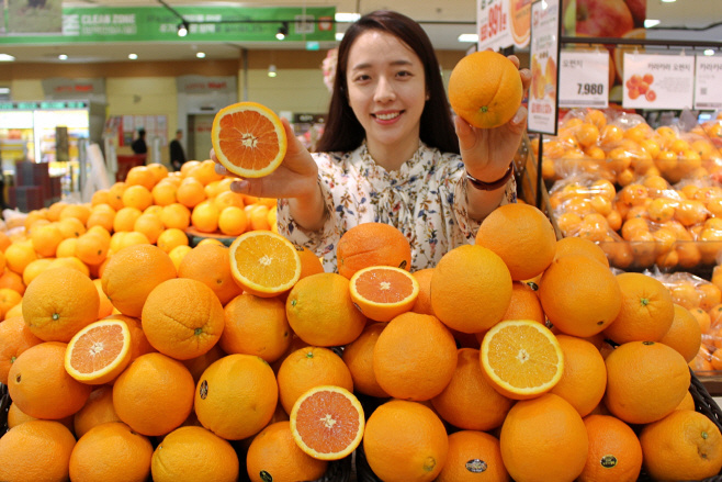 롯데마트