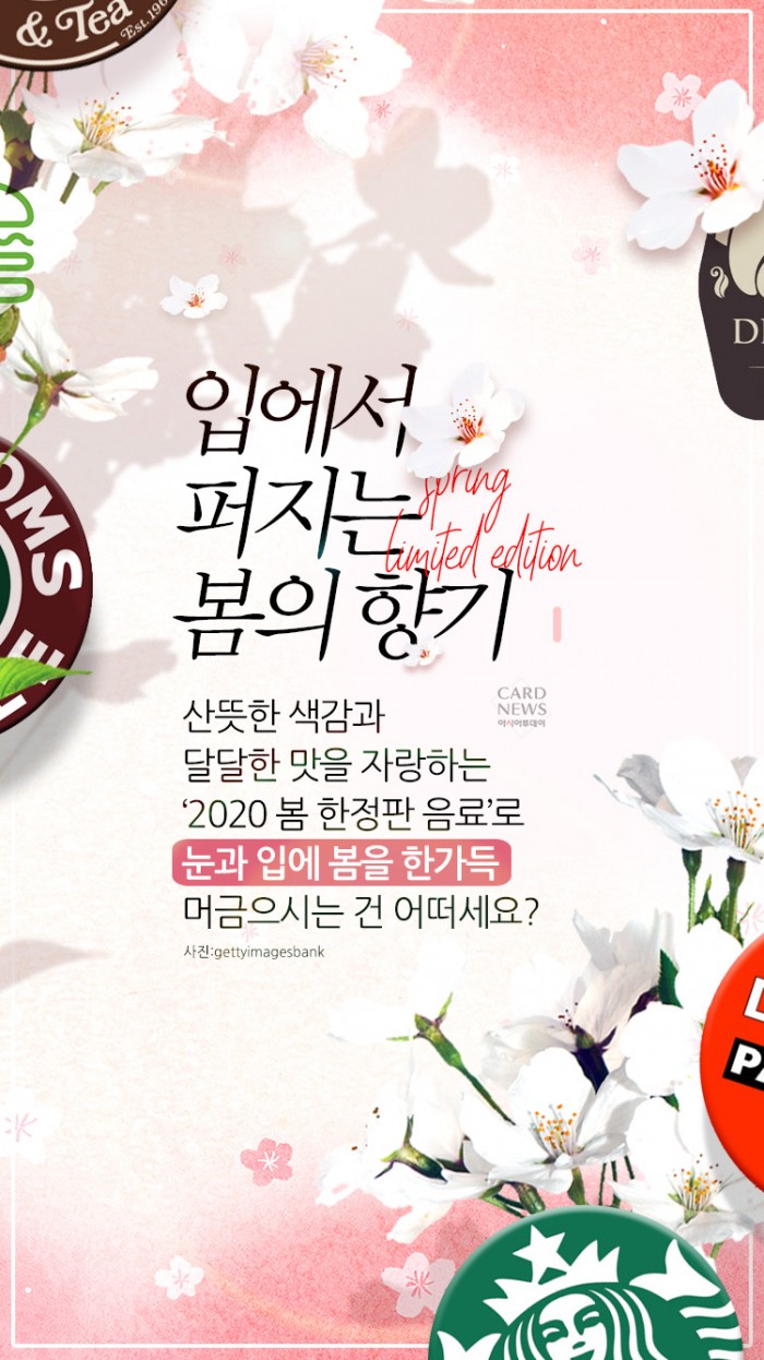 카드 뉴스 이미지