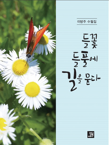 들꽃