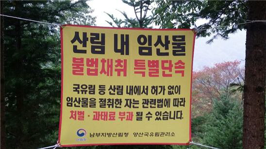 산림 내 불법행위 단속 현수막