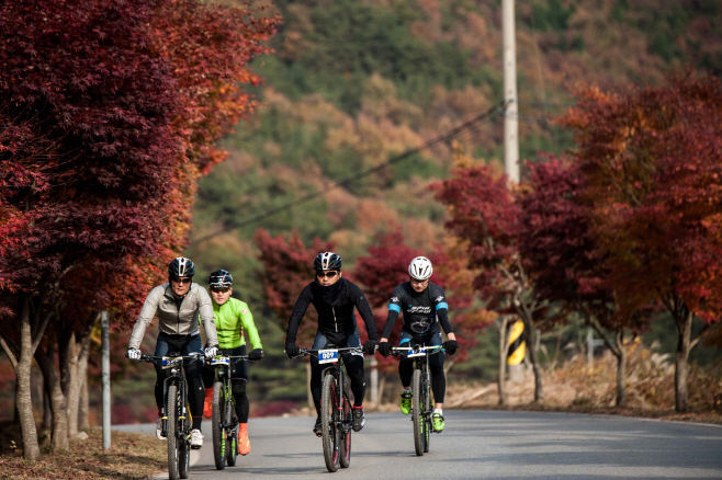 산림청장배 산악자전거대회