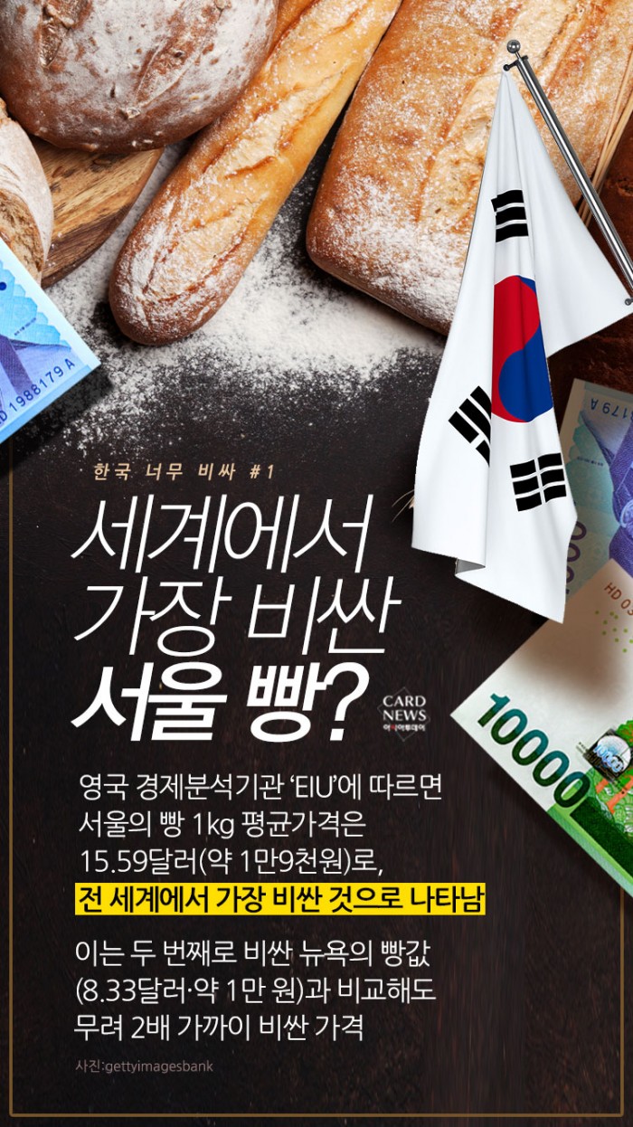카드 뉴스 이미지