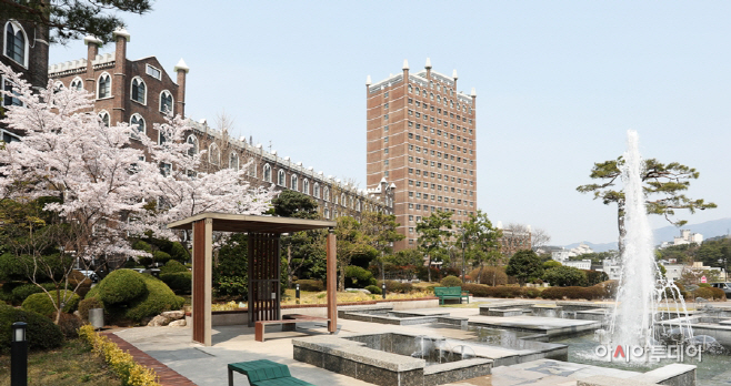 광주대 벚꽃-학교전경