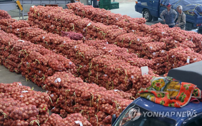 양파 연합자료