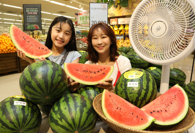 이마트 수박 선풍기 1