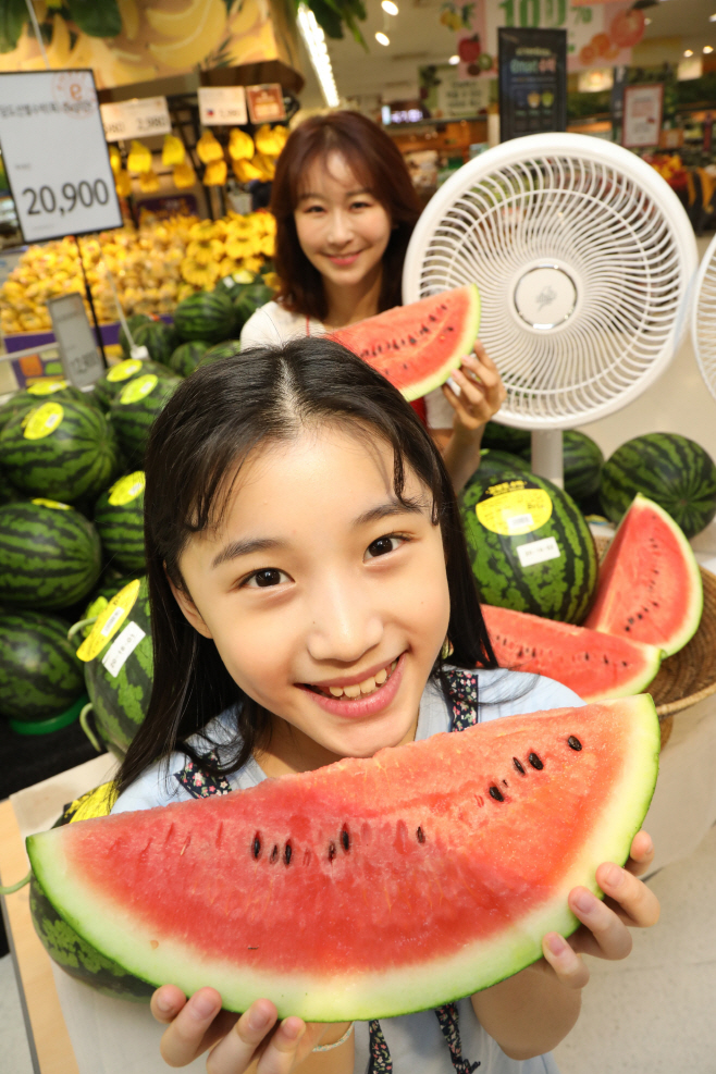 이마트 수박 선풍기 6