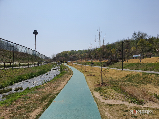 구리시, 갈매천 산책로 백합나무 식재 ‘하천변 환경개선’