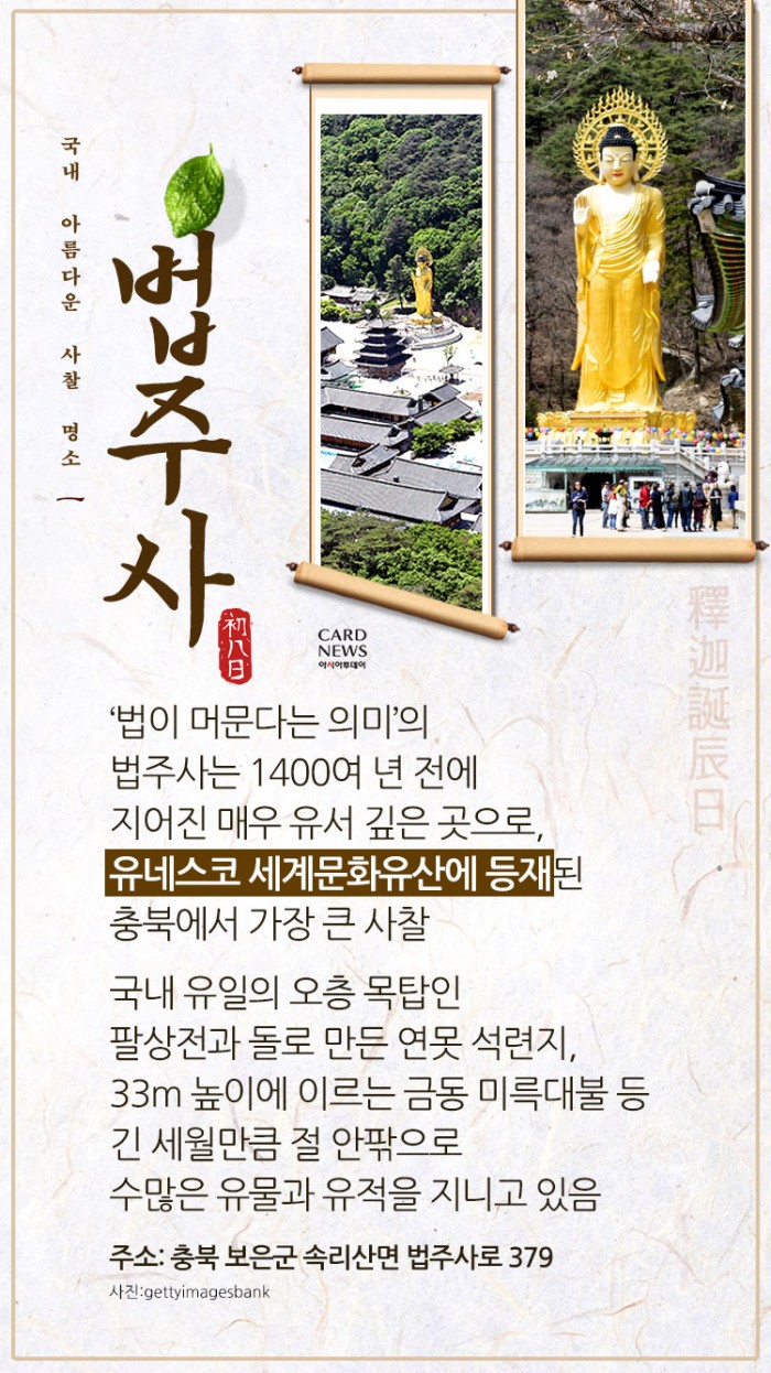 카드 뉴스 이미지