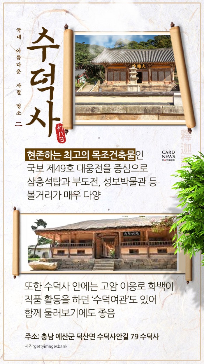 카드 뉴스 이미지