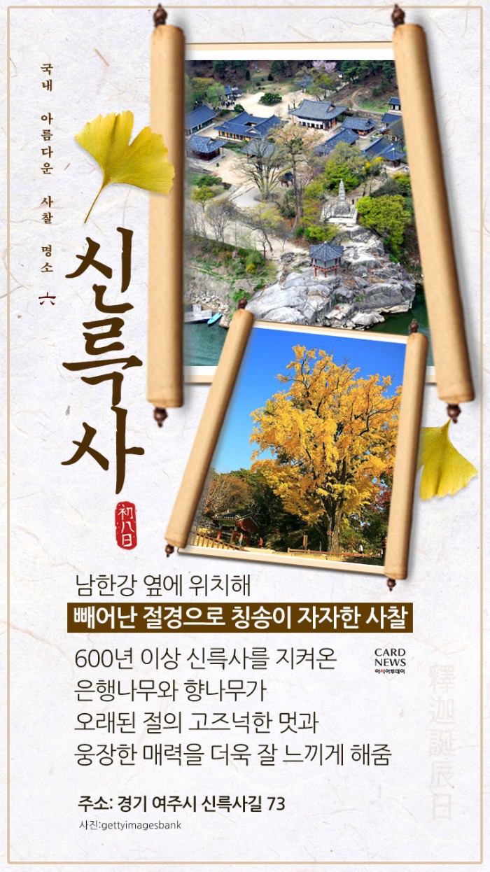 카드 뉴스 이미지