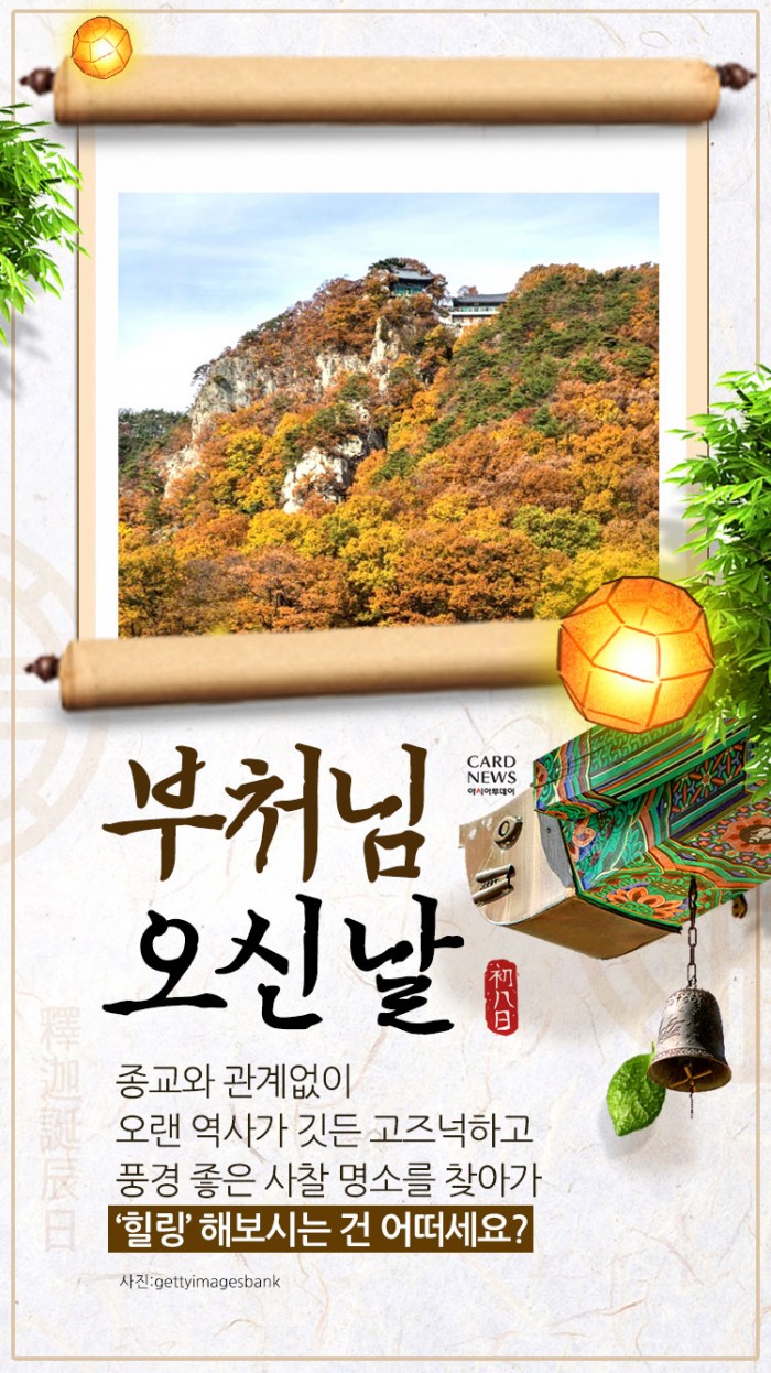 카드 뉴스 이미지