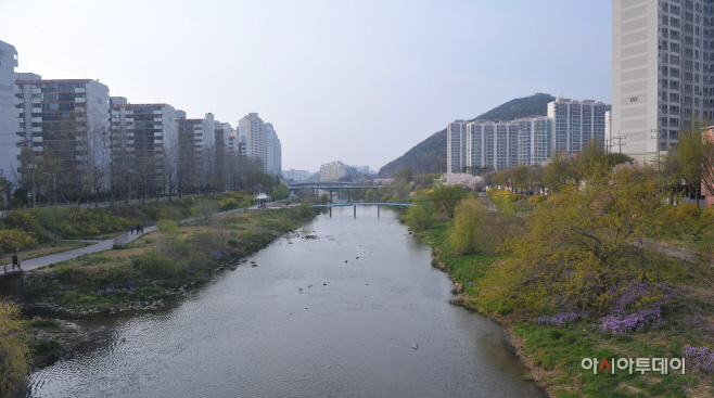 안양천 전경-1