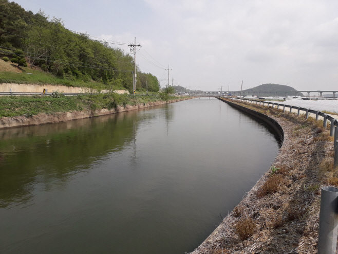 충남 예당저수지 예당간선 급수전경 모습