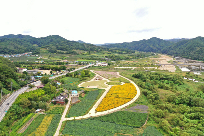 청송군, 전국 최대 규모 백일홍 단지 조성) (1)