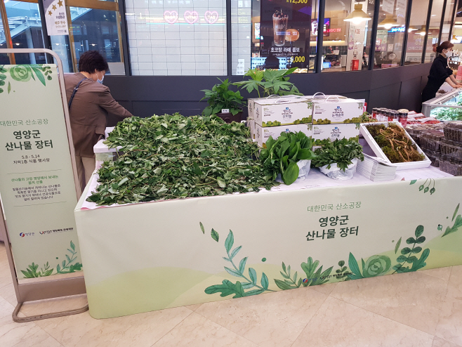 영양군, 롯데백화점(부산 광복점)