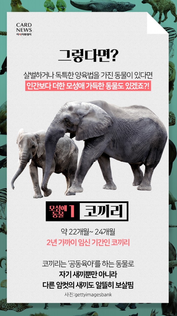 카드 뉴스 이미지