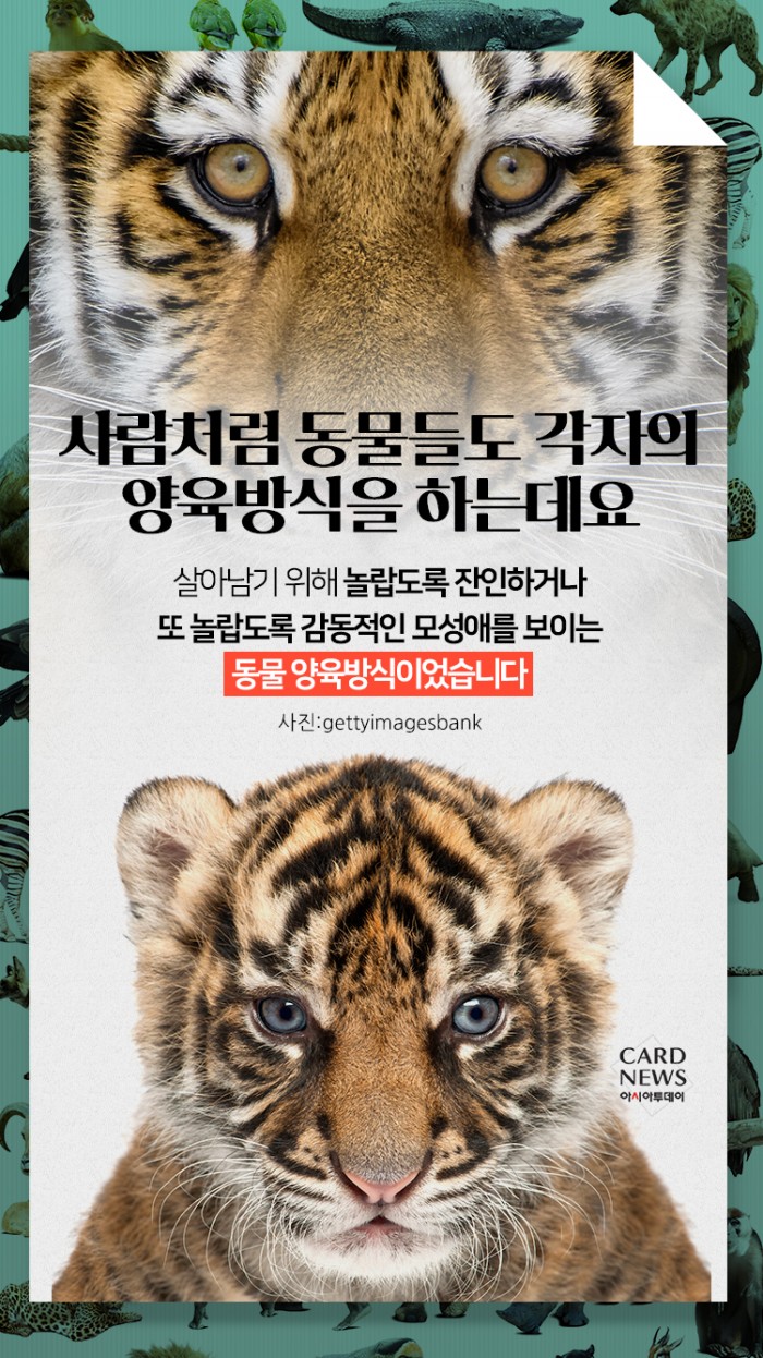 카드 뉴스 이미지