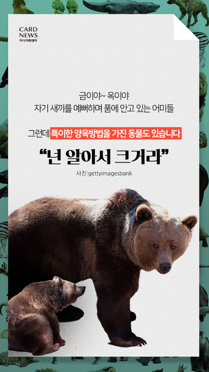 카드 뉴스 이미지