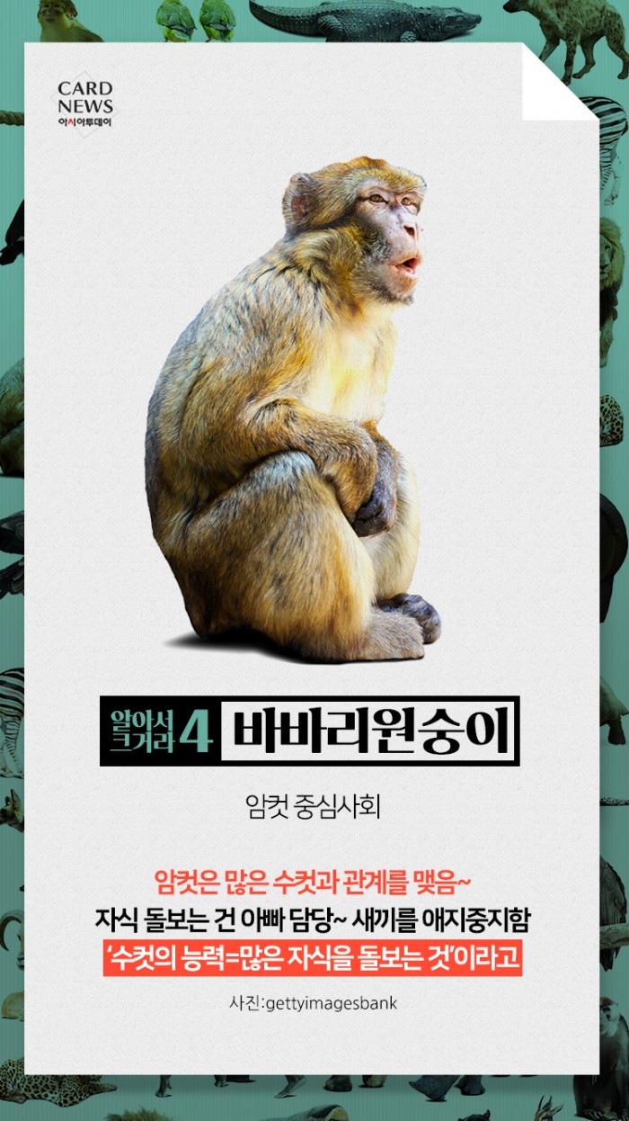 카드 뉴스 이미지