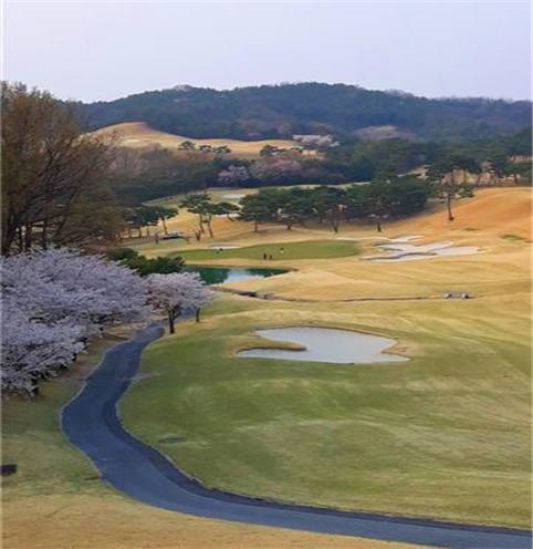 대전관내 골프장 전경
