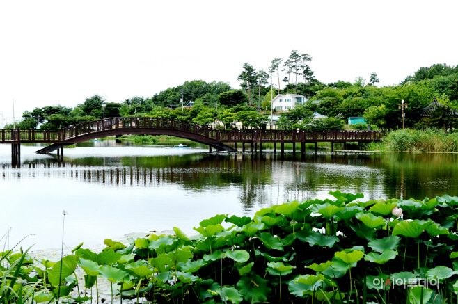 창녕문화공원과 명덕수변생태공원 (3)