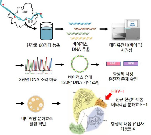 사진 1