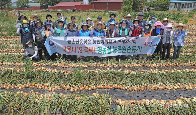 코로나19대응 일손돕기2