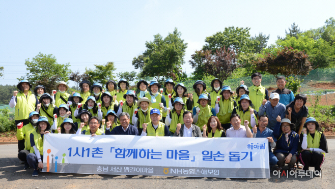 농협손보