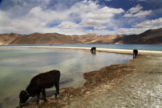 India China Himalayan Standoff