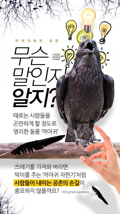 카드 뉴스 이미지