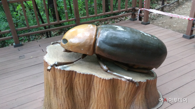 수지생태공원_반딧불이 모형