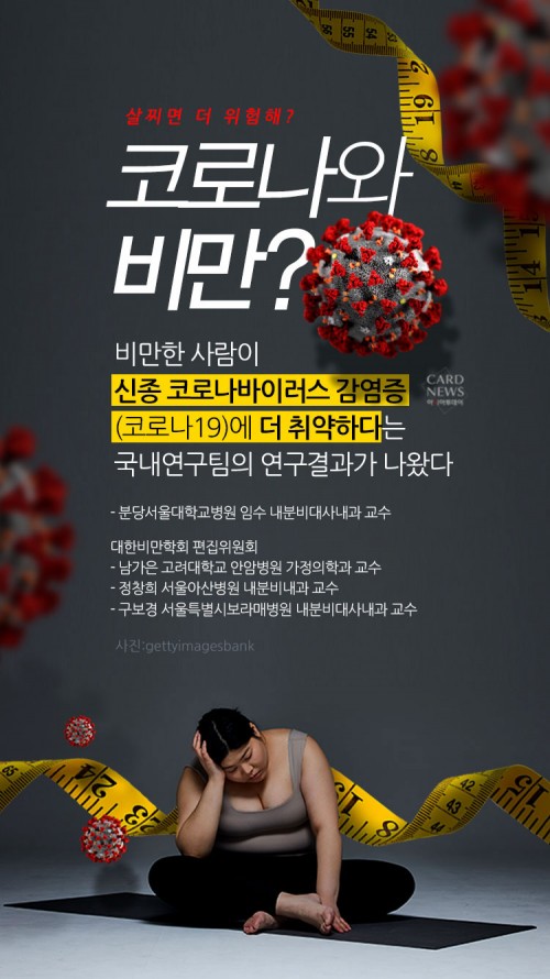 카드 뉴스 이미지
