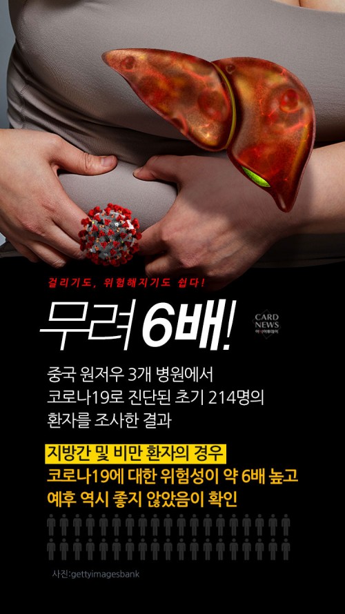 카드 뉴스 이미지