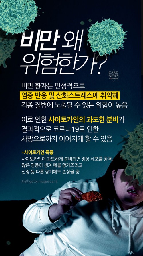 카드 뉴스 이미지