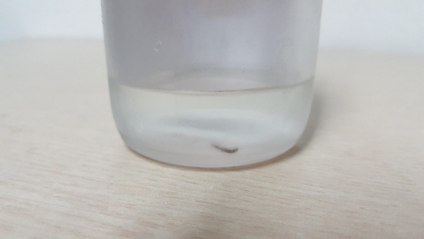 부산서도 '수돗물 유충' 신고 잇따라 조사 착수