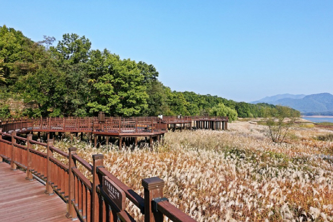 대청호 추동습지 전경