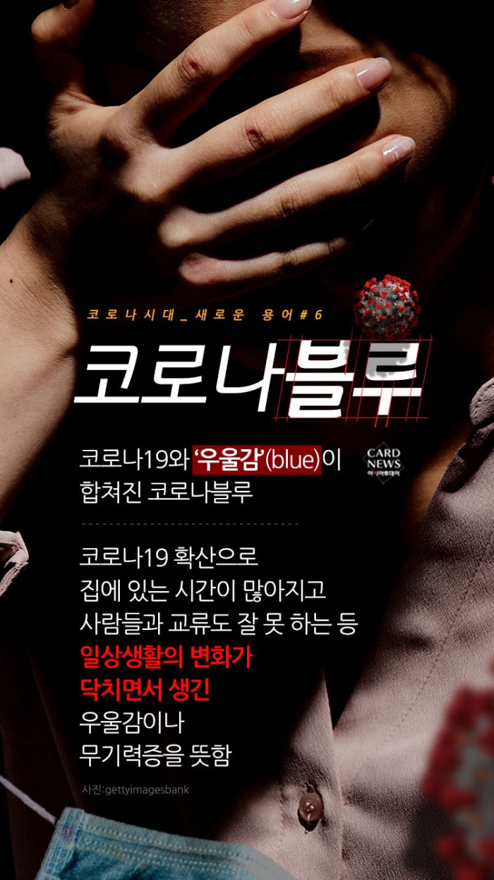 카드 뉴스 이미지
