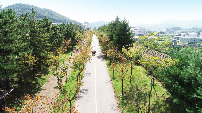 전남 순천시 가로수길