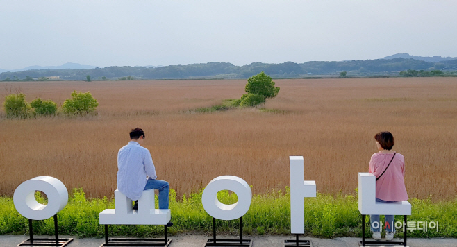 연인도 거리두기 익산 성당포 갈대바다 바람개비길