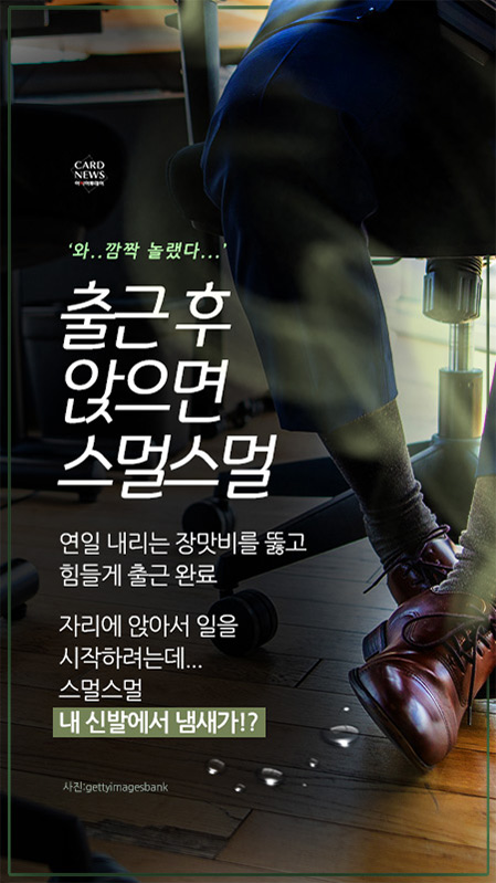 카드 뉴스 이미지