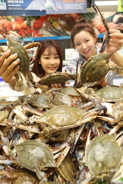 [롯데쇼핑 홍보실_롯데마트] 살 꽉찬 숫 꽃게 나왔다 (1)