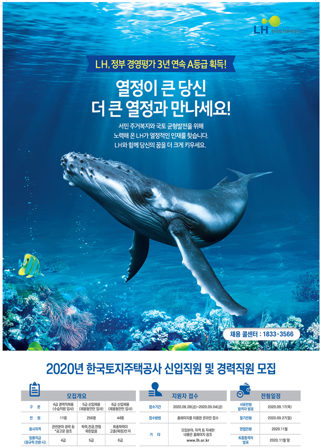 LH채용