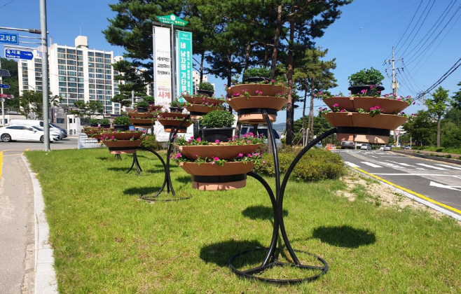 0826-14_코로나-19로_지친_마음,_페튜니아로_생기_있게