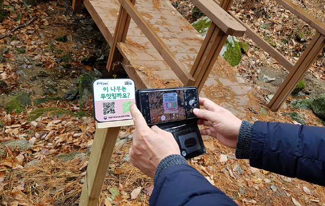 국립자연휴양림
